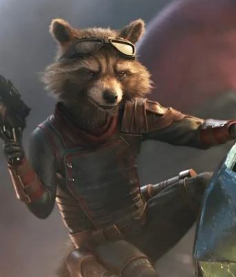 Guardians of The Galaxy 3 Rocket Raccoon Jacket